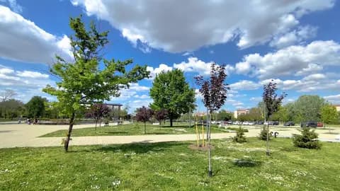 Novi Park
